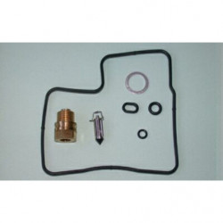 Kit reparacion carburador...