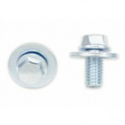 Pack de 10 tornillos bolt...