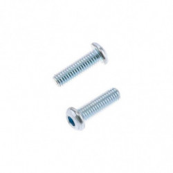 Tornillos cabeza redonda...