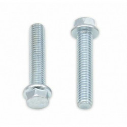 Tornillos con cabeza...