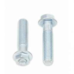 Tornillos con cabeza...