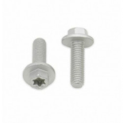 Tornillos con cabeza...