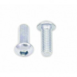 Tornillos cabeza redonda...