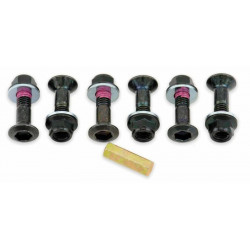 Pack de 6 tornillos de...