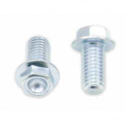 Pack de 10 tornillos bolt...