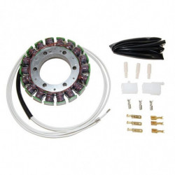 Estator electrosport para...