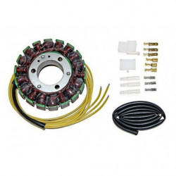Estator electrosport para...