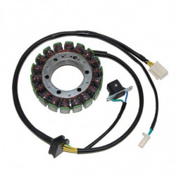 Estator electrosport para...