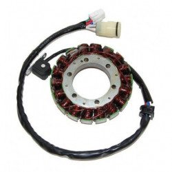 Estator electrosport para...