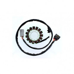 Estator electrosport para...