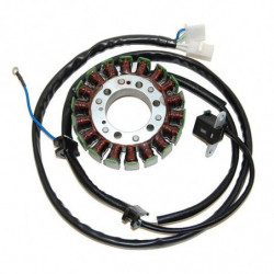 Estator electrosport para...