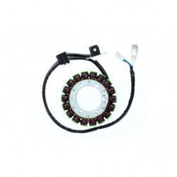 Estator electrosport para...