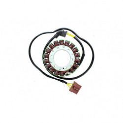 Estator electrosport para...