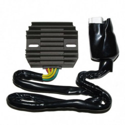 Regulador electrosport para...