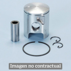 Piston polini evolution...