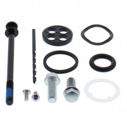 Kit reparacion grifo de...