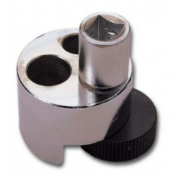 Extractor de esparragos y...