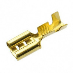 Bolsa de 10 terminales...