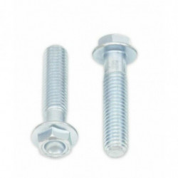 Tornillos con cabeza...