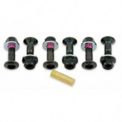 Pack de 6 tornillos de...