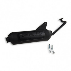 Escape malossi wild lion...