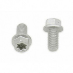 Tornillos con cabeza...