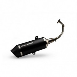 Escape completo malossi rx...